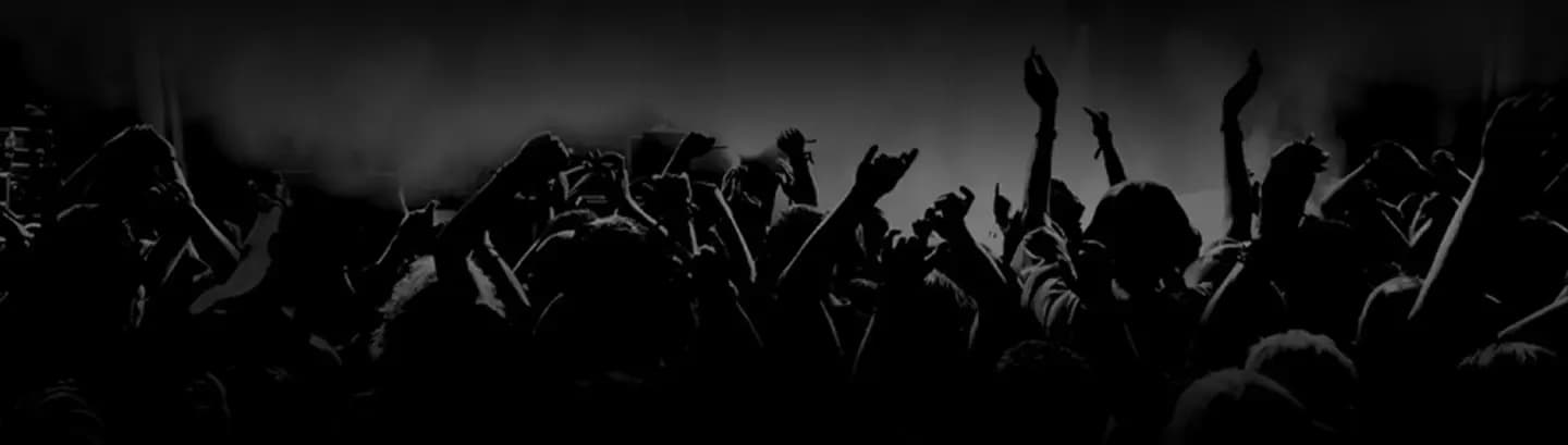 concert crowd